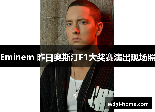 Eminem 昨日奥斯汀F1大奖赛演出现场照