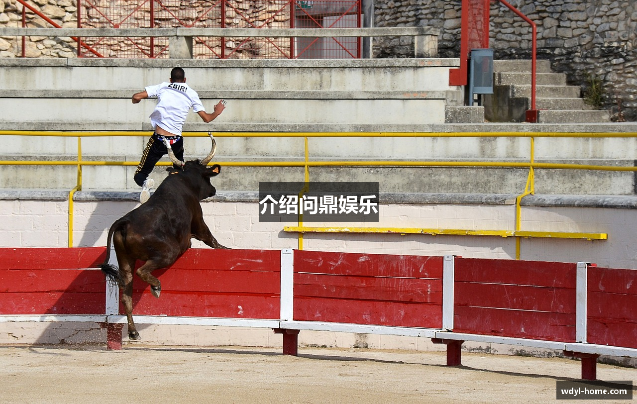 介绍问鼎娱乐